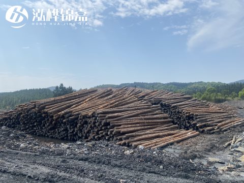 河道打樁為什么選擇松木樁來處理軟地基？-松木樁施工使用范圍